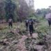 Buscan a persona arrastrada por crecida de río en Acapulco