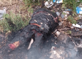 Hallan cuerpo desmembrado en la Gustavo A. Madero