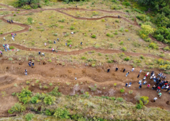 Promueve Edoméx recuperación de zonas urbanas arboladas en La Paz