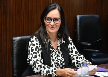 Diputados priistas van contra acoso y hostigamiento sexual en el transporte público