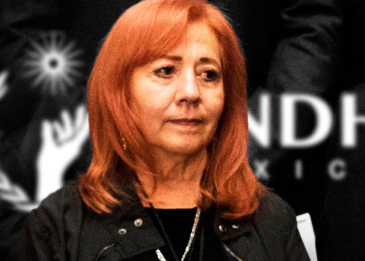 Consejeros de la CNDH exigen a Piedra Ibarra evitar “interpretaciones políticas”