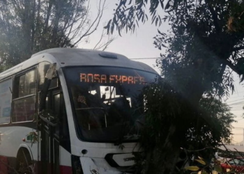 Choca camión del Mexibús contra un árbol en Tultitlán; hay 13 heridos