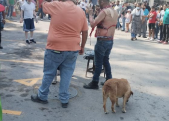 Activan Fase 1 de Contingencia Ambiental en Zona Metropolitana del Valle de México
