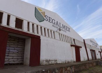Vinculan a proceso a exdirector de Administración de Segalmex