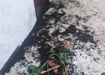 Inicia FGJCDMX investigación luego de irrupción violenta de un grupo de personas en agencia del Ministerio Público en Milpa Alta