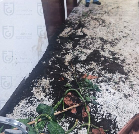 Inicia FGJCDMX investigación luego de irrupción violenta de un grupo de personas en agencia del Ministerio Público en Milpa Alta