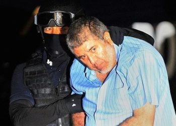 Vicente “C” alias el “El Viceroy” ya suma 48 años de prisión