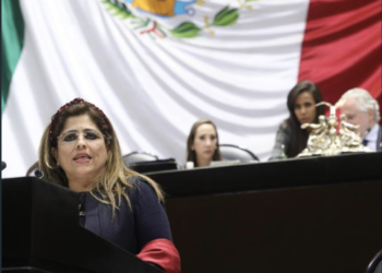 Pide PRI acelerar acciones para evitar la extinción de la vaquita marina