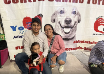 Más de mil 300 perros fueron adoptados durante el año en el Centro de Control Canino