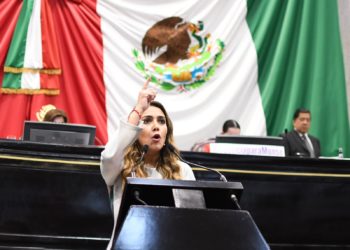 Acusa Anilú Ingram falta de voluntad de diputados morenistas para discutir Ley Monse en Veracruz