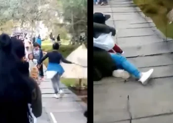 Colapsa puente colgante en parque Cuevas del Mamut en Chiapas, deja varios turistas heridos