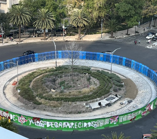 Sustituirán ahuehuete de Reforma pasando la temporada de invierno