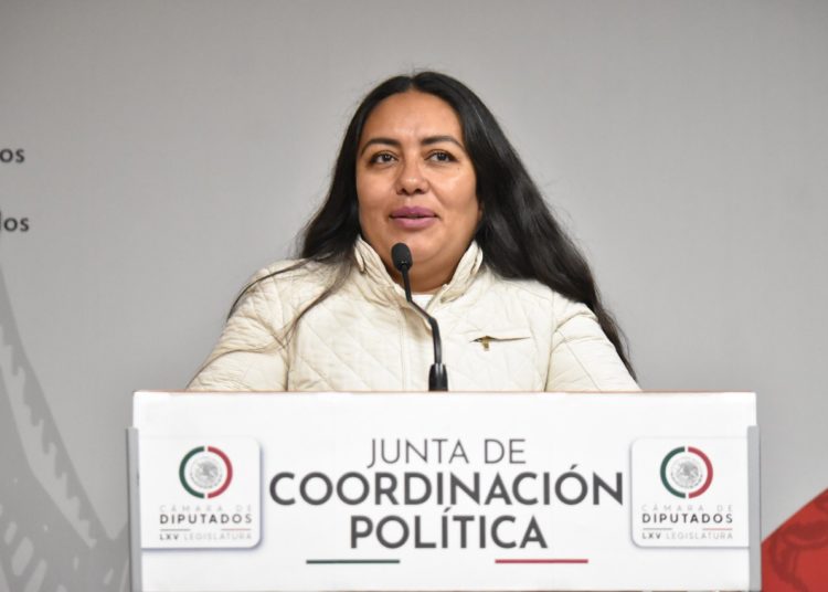 El Pleno resolverá, en periodo ordinario, la sentencia del TEPJF que revocó el acuerdo sobre elección de consejeros del INE: Elizabeth Pérez