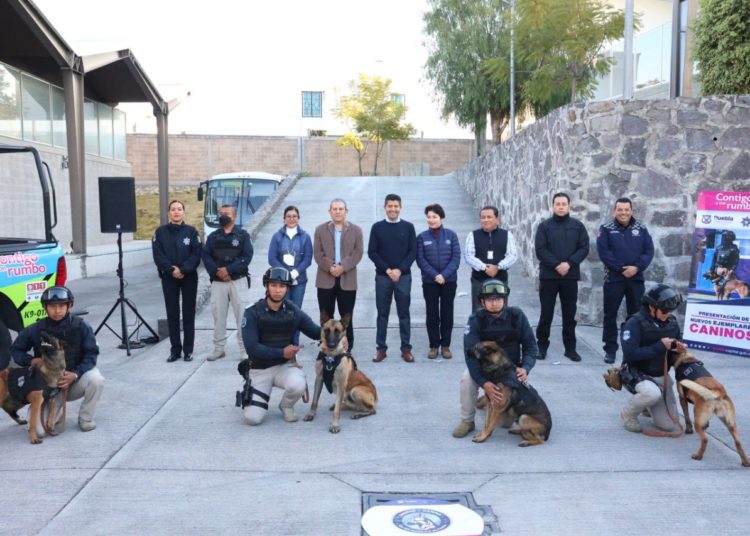 Policía municipal de Puebla incorpora 10 nuevos ejemplares caninos para proteger a la población
