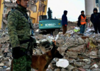 Niega entrenador muerte de Proteo por derrumbe, fue por condiciones del clima y edad