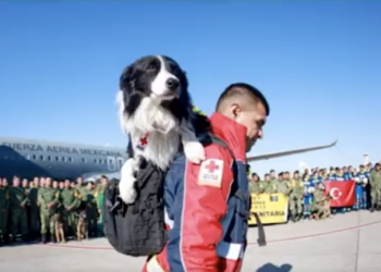 Vuelven a CDMX últimos rescatistas mexicanos que apoyaron tras sismo en Turquía