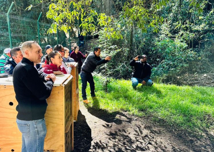 Cuajimalpa se convierte en la primera alcaldía en brindar protección y conservación de vida silvestre