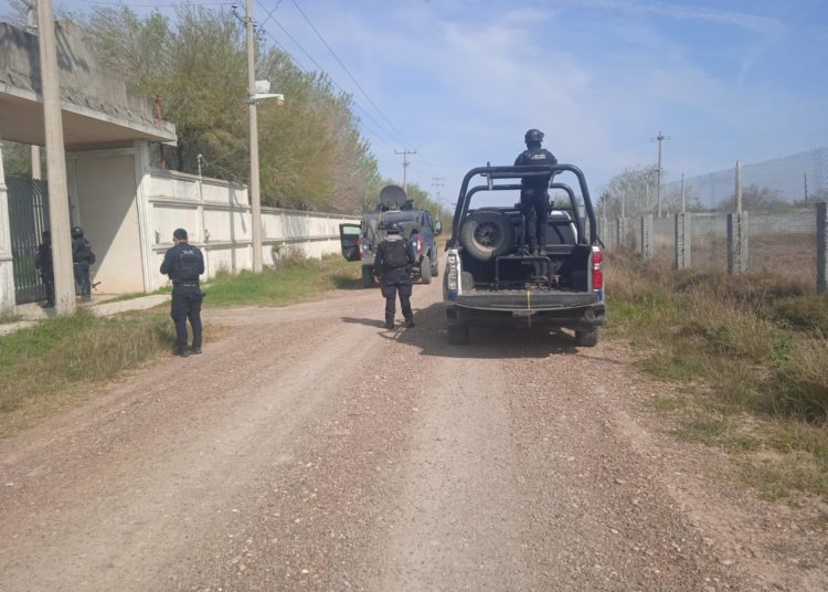 Civiles armados agreden a Guardia Estatal en fincas de Miguel Alemán