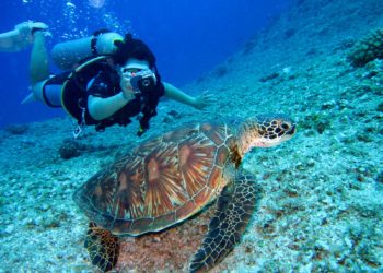 Buceo Inclusivo, primordial para la igualdad: Gustavo Cárdenas Moreno