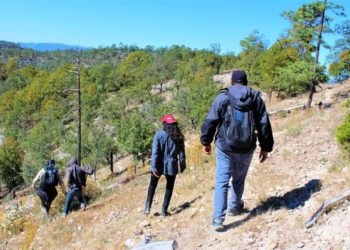 Reconoce Municipio trabajo de asistentes sociales de la SDHyBC