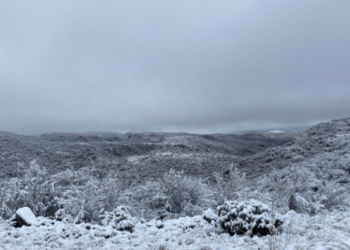 Chihuahua emite alerta amarilla y abre albergues ante fuertes nevadas