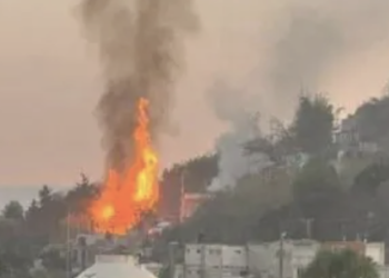 Reportan siete muertos por explosión en Totolapan, Morelos