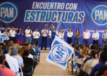 Absolutamente reprobable que varias propuestas del Comité Técnico de Evaluación para Consejeros del INE, estén estrechamente ligadas al gobierno y a Morena: PAN