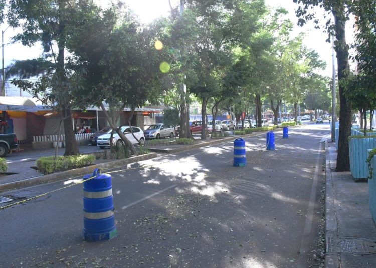 Tlalpan retira de las calles a más de 70 franeleros