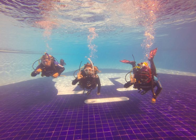 Realiza la UNAM curso de buceo; incluye prácticas en la Alberca Olímpica Universitaria