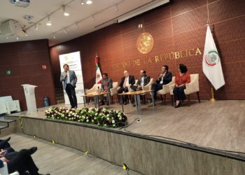 Edomex y Coahuila se preparan para garantizar elecciones efectivas: Dania Ravel Cuevas