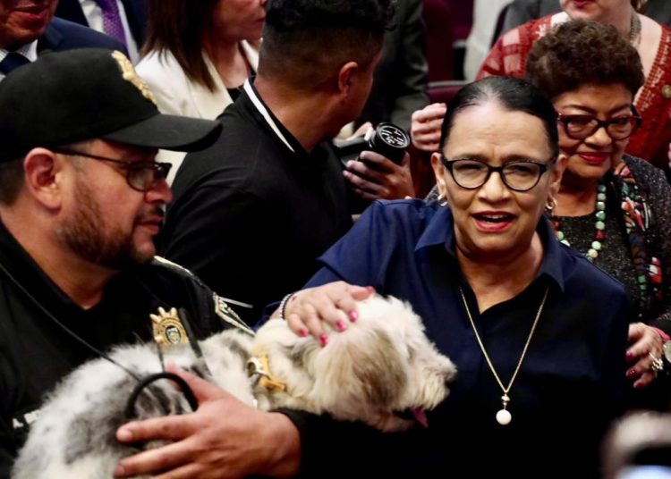 El bienestar animal es fundamental: Rosa Icela Rodríguez