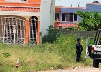 Son más de 13 cuerpos desmembrados los hallados embalados y congelados en norte de Veracruz: Fiscalía estatal