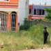 Son más de 13 cuerpos desmembrados los hallados embalados y congelados en norte de Veracruz: Fiscalía estatal