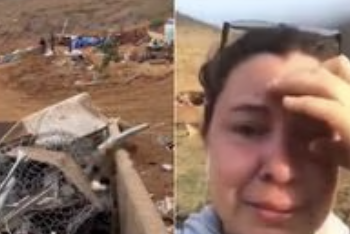 Empresa aplasta con máquinas albergue con animales vivos adentro en BC