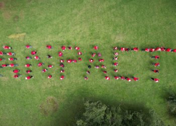 Se lleva a cabo reforestación por parte de ANPACT y asociados