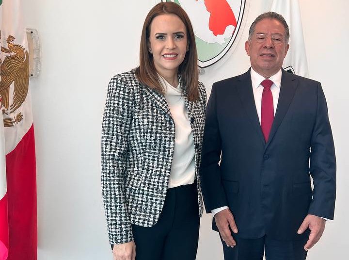 Seguridad pública se reforzará por medio de tecnología