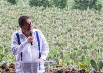 Inaugura Víctor Mercado centro cultural y caminos de saca en Totolapan