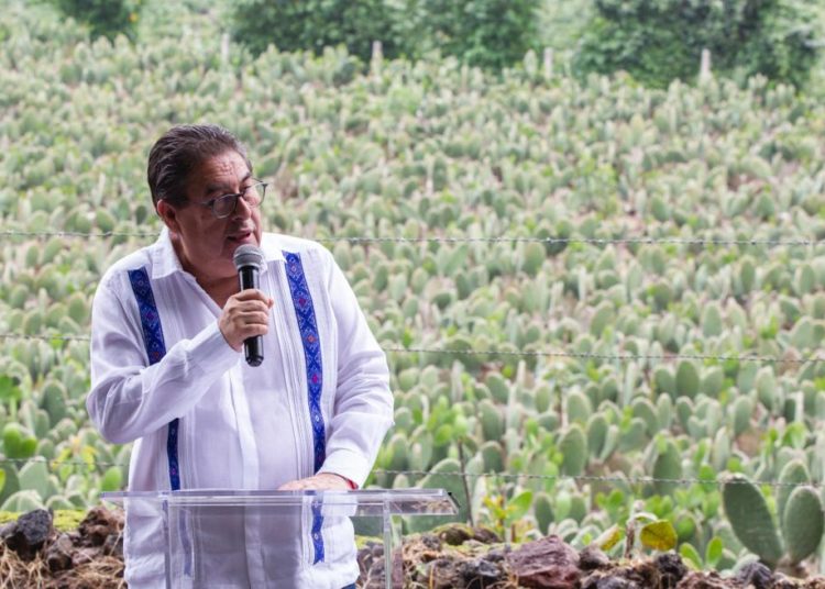 Inaugura Víctor Mercado centro cultural y caminos de saca en Totolapan