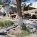 Desplome de techo de iglesia en Ciudad Madero, Tamaulipas deja varios muertos