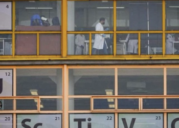 Sedesa descarta alerta sanitaria por chinches en la CDMX