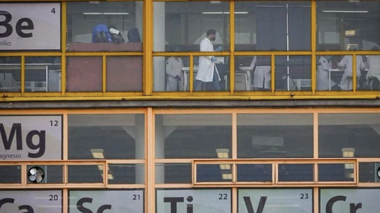 Sedesa descarta alerta sanitaria por chinches en la CDMX