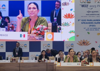 La paridad debe formar parte de los principios rectores del Estado: Marcela Guerra