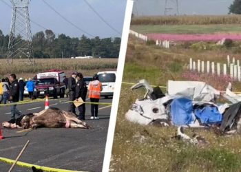 Mueren 5 personas tras accidente en carretera Toluca-Valle de Bravo