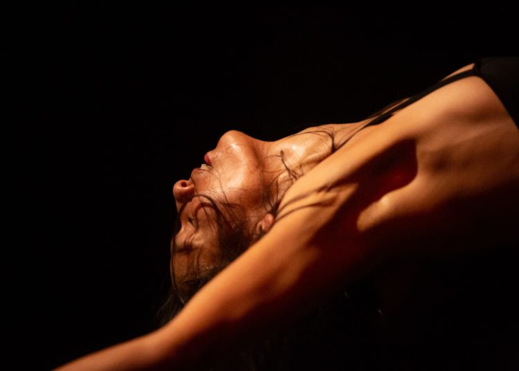 Primer festival de Danza y Sanación se llevará a cabo en Oaxaca