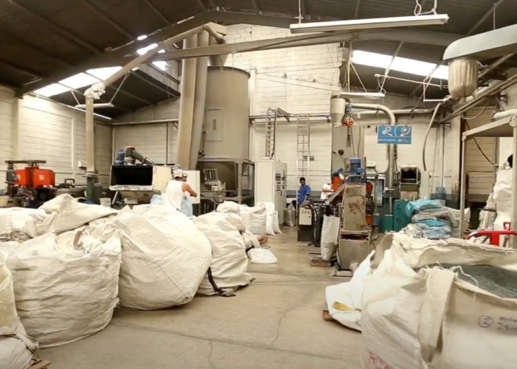 Un paso hacia la economía circular: Cerca de 45 mil kilos diarios de plástico son reciclados
