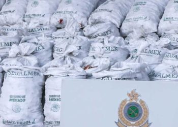 Segalmex se deslinda de cargamento millonario de droga incautado en Hong Kong y prepara denuncias penales