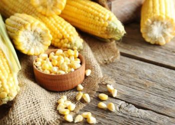 Chef Manuel Bribiesca celebra el Día Nacional de la Gastronomía Mexicana: Un homenaje a la riqueza culinaria del país