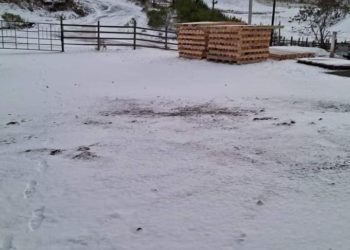 Primera tormenta invernal y frente frío 11 afectan varias entidades del país