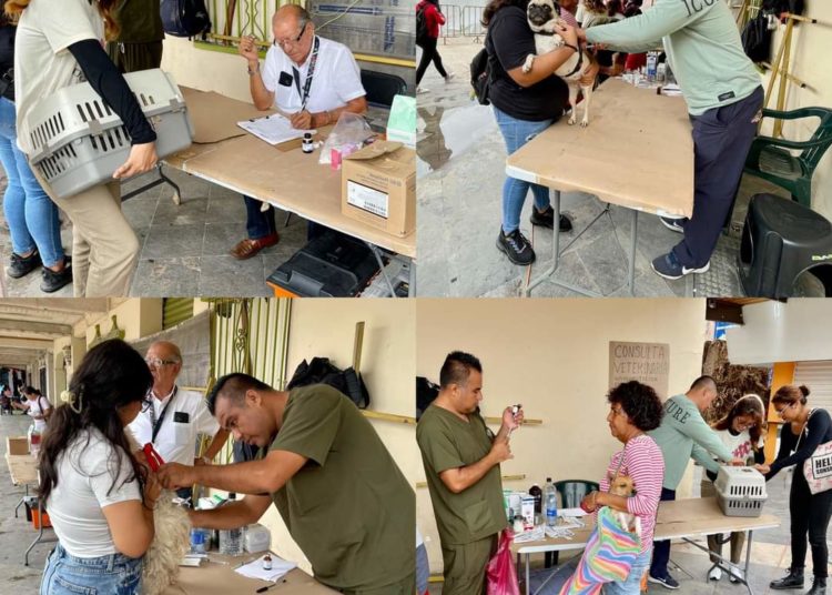 Abelina López Rodríguez prioriza la salud: Servicios médicos gratuitos y campaña de desparasitación en Acapulco