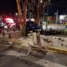 Se ‘destroza’ auto en alcaldía Coyoacán, mueren 3 jóvenes